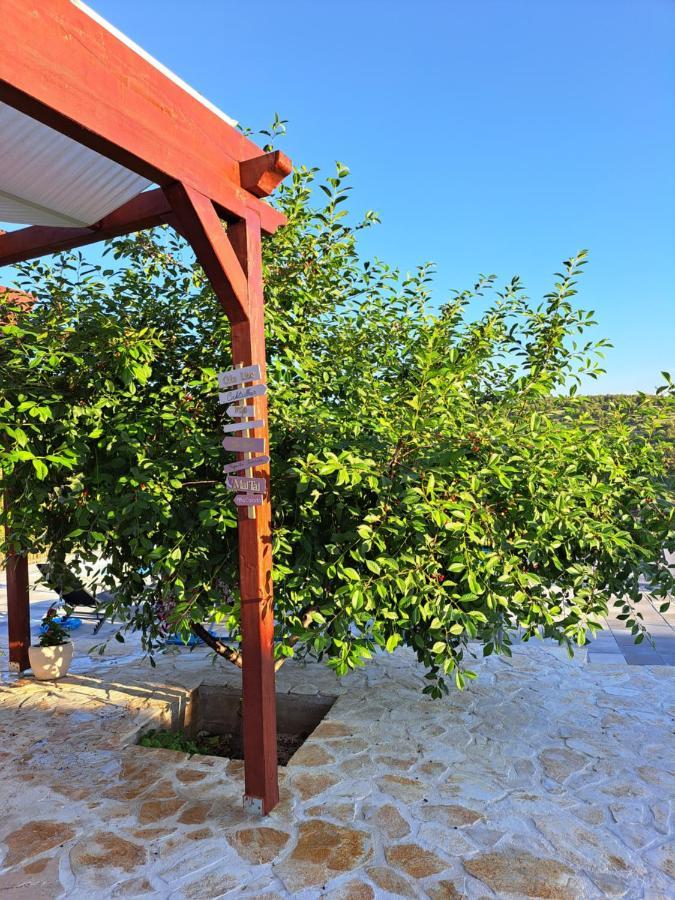 Guest House "The View" - With A Pool Donje Polje المظهر الخارجي الصورة